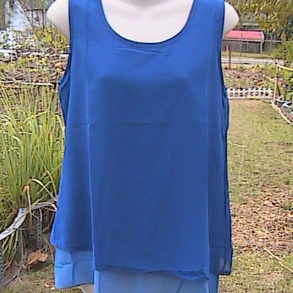 Blue Sleeveless Chiffon Blouse Size: 6 (S)